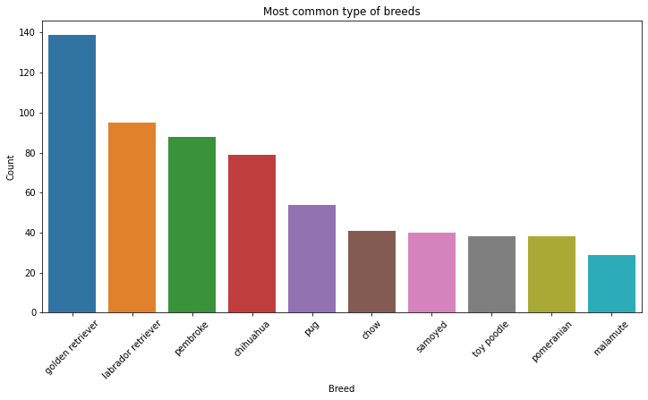 Most Common Dog Breeds